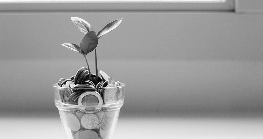 visual-stories-micheile-SoT4-mZhyhE-unsplash Kopie